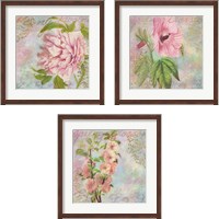 Framed 'Blossom 3 Piece Framed Art Print Set' border=