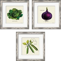 Framed 'Linen Vegetable 3 Piece Framed Art Print Set' border=