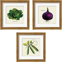 Framed Linen Vegetable 3 Piece Framed Art Print Set