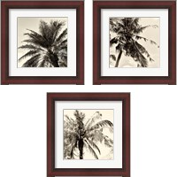 Framed 'Palm Tree Sepia 3 Piece Framed Art Print Set' border=