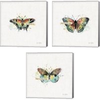 Framed 'Thoughtful Butterflies 3 Piece Canvas Print Set' border=