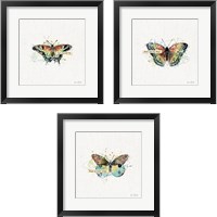Framed Thoughtful Butterflies 3 Piece Framed Art Print Set