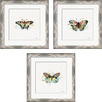Framed 'Thoughtful Butterflies 3 Piece Framed Art Print Set' border=