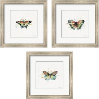 Framed 'Thoughtful Butterflies 3 Piece Framed Art Print Set' border=