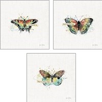 Framed 'Thoughtful Butterflies 3 Piece Art Print Set' border=