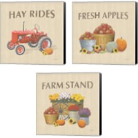 Framed Heartland Harvest Moments 3 Piece Canvas Print Set