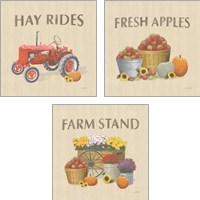 Framed 'Heartland Harvest Moments 3 Piece Art Print Set' border=