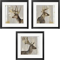 Framed Stag  3 Piece Framed Art Print Set