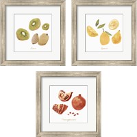 Framed 'Fruit 3 Piece Framed Art Print Set' border=