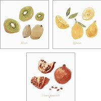 Framed Fruit 3 Piece Art Print Set
