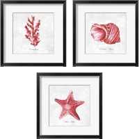 Framed 'Red Sea Life 3 Piece Framed Art Print Set' border=