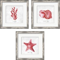 Framed 'Red Sea Life 3 Piece Framed Art Print Set' border=