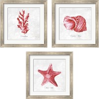 Framed 'Red Sea Life 3 Piece Framed Art Print Set' border=