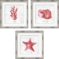 Framed 'Red Sea Life 3 Piece Framed Art Print Set' border=