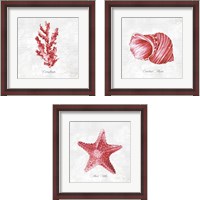 Framed Red Sea Life 3 Piece Framed Art Print Set