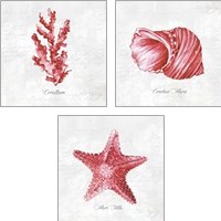Framed 'Red Sea Life 3 Piece Art Print Set' border=