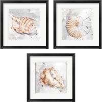 Framed Blush Shell 3 Piece Framed Art Print Set
