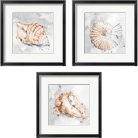 Framed Blush Shell 3 Piece Framed Art Print Set