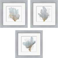Framed 'Delicate Coral  3 Piece Framed Art Print Set' border=