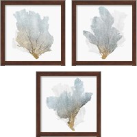 Framed 'Delicate Coral  3 Piece Framed Art Print Set' border=