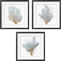 Framed Delicate Coral  3 Piece Framed Art Print Set