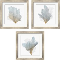 Framed Delicate Coral  3 Piece Framed Art Print Set