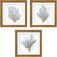 Framed Delicate Coral  3 Piece Framed Art Print Set