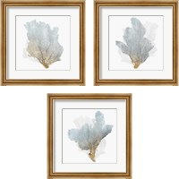 Framed 'Delicate Coral  3 Piece Framed Art Print Set' border=