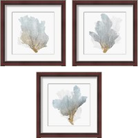 Framed Delicate Coral  3 Piece Framed Art Print Set