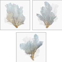 Framed 'Delicate Coral  3 Piece Art Print Set' border=