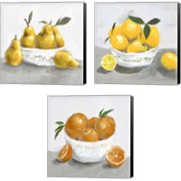Framed 'Fruit Bowl 3 Piece Canvas Print Set' border=