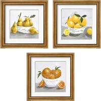 Framed Fruit Bowl 3 Piece Framed Art Print Set
