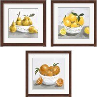 Framed 'Fruit Bowl 3 Piece Framed Art Print Set' border=