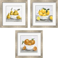 Framed 'Fruit Bowl 3 Piece Framed Art Print Set' border=