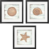 Framed Ocean Sea Life 3 Piece Framed Art Print Set