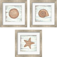 Framed 'Ocean Sea Life 3 Piece Framed Art Print Set' border=