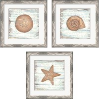 Framed Ocean Sea Life 3 Piece Framed Art Print Set