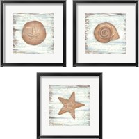 Framed 'Ocean Sea Life 3 Piece Framed Art Print Set' border=