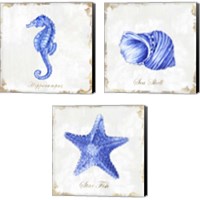 Framed 'Blue Sea Life 3 Piece Canvas Print Set' border=