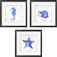 Framed Blue Sea Life 3 Piece Framed Art Print Set