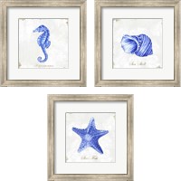 Framed 'Blue Sea Life 3 Piece Framed Art Print Set' border=