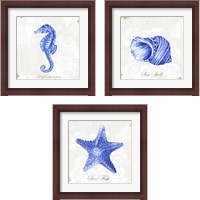 Framed 'Blue Sea Life 3 Piece Framed Art Print Set' border=