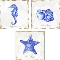 Framed 'Blue Sea Life 3 Piece Art Print Set' border=
