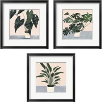 Framed Houseplant  3 Piece Framed Art Print Set