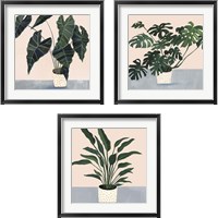 Framed Houseplant  3 Piece Framed Art Print Set