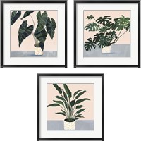 Framed 'Houseplant  3 Piece Framed Art Print Set' border=