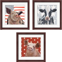 Framed Patriotic Farm 3 Piece Framed Art Print Set