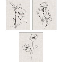 Framed 'Floral Ink Study 3 Piece Art Print Set' border=