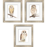 Framed 'Hoo Dis  3 Piece Framed Art Print Set' border=