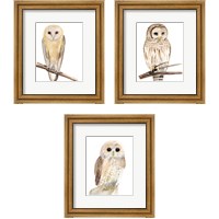 Framed 'Hoo Dis  3 Piece Framed Art Print Set' border=